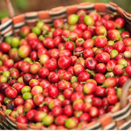 Asian Plateau Blend (organic) - Simply Brown Coffee